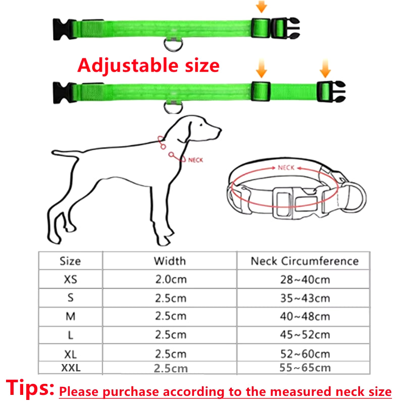 USB Rechargeable Luminous Collar Adjustable Led Glowing Dog Collar for Large Small Dogs Cat Night Light Collar Pet Safety Harnes