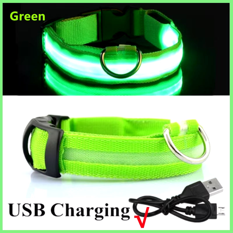 USB Rechargeable Luminous Collar Adjustable Led Glowing Dog Collar for Large Small Dogs Cat Night Light Collar Pet Safety Harnes