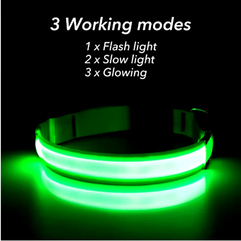 USB Rechargeable Luminous Collar Adjustable Led Glowing Dog Collar for Large Small Dogs Cat Night Light Collar Pet Safety Harnes